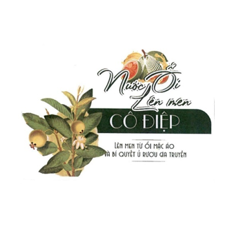 Cục Sở hữu trí tuệ cấp văn bằng bảo hộ nhãn hiệu “Nước ổi lên men Cô Điệp Lên men từ ổi mặc áo và bí quyết ủ rượu gia truyền, hình”
