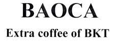 Nhãn hiệu “BAOCA, chữ” được Cục Sở hữu trí tuệ cấp giấy chứng nhận đăng ký nhãn hiệu