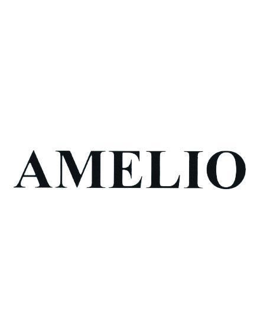 Cục Sở hữu trí tuệ cấp văn bằng bảo hộ nhãn hiệu “AMELIO”