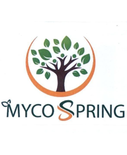 Cục Sở hữu trí tuệ cấp văn bằng bảo hộ nhãn hiệu “MYCOSPRING, hình”