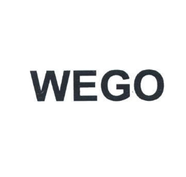 Cục Sở hữu trí tuệ cấp văn bằng bảo hộ nhãn hiệu “WEGO”