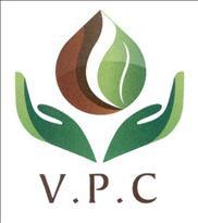 Cục Sở hữu trí tuệ cấp văn bằng bảo hộ nhãn hiệu “V.P.C, hình”