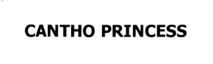 Nhãn hiệu “CANTHO PRINCESS, chữ” của CÔNG TY TNHH MỘT THÀNH VIÊN DU THUYỀN CANTHO PRINCESS được Cục Sở hữu trí tuệ cấp giấy chứng nhận