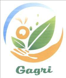 Cục Sở hữu trí tuệ cấp văn bằng bảo hộ nhãn hiệu “Gagri, hình”